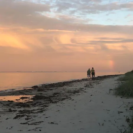 Ferienhaus 30594-odder-toldvejen-45-h Odder